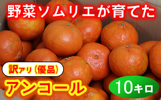 【訳あり・優品】野菜ソムリエ石児さんの「アンコール 約10kg」