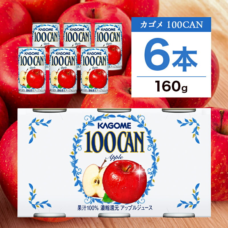 【ふるさと納税】 カゴメ 100CAN アップルジュース 160g×6缶 栃木県 那須塩原市 ジュース りんごジュース フルーツジュース 砂糖不使用 果汁 林檎 りんご アップル 飲料 ドリンク フルーツ 果物 ギフト 缶ジュース 送料無料