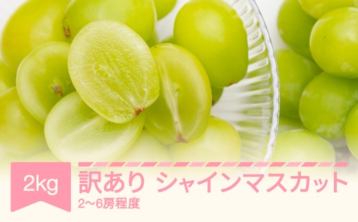 【先行予約】訳あり シャインマスカット 約2kg(2～6房程度) 令和9年産 2027年産 sb-busmw2000