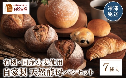 自家製天然酵母 7種入り パン セット　天然酵母 国産小麦 有機 オーガニック パンセット 詰め合わせ お試し 冷凍