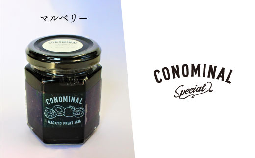 【全6回定期便】 季節の果実ジャム 毎月3本（120g/本） 長与町/アグリューム [EAI008] 瓶 個別 セット ジャム