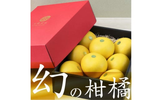 【先行予約】秀品 ☆高知産 土佐文旦☆ 2L 8玉入【贈答用】〈2027年1月下旬頃より順次発送〉/ 柑橘 フルーツ 先行予約 ぶんたん ブンタン 果物 お取り寄せ【TAMURAKAJUEN】