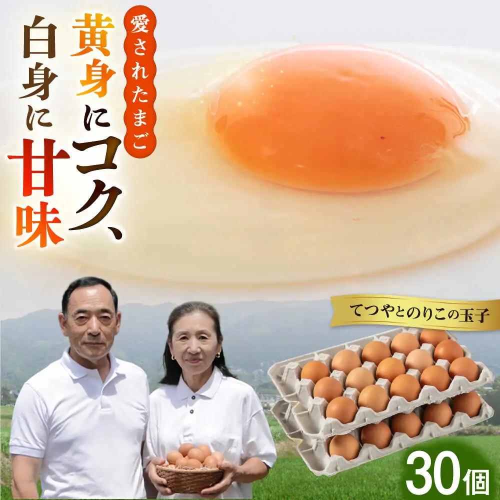 卵 30個 てつやとのりこの玉子 卵 たまご [AWD001]