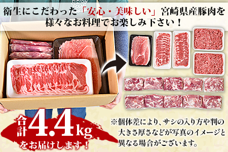 ＜宮崎県産豚肉 バラエティーセット4.4kg＞翌月末迄に順次出荷【 肉 豚肉 国産豚肉 九州産豚肉 宮崎県産豚肉 豚肉 大容量 豚肉 バラエティー豚肉 豚肉 豚ロース 豚モモ 豚ミンチ 豚こま 肉 】