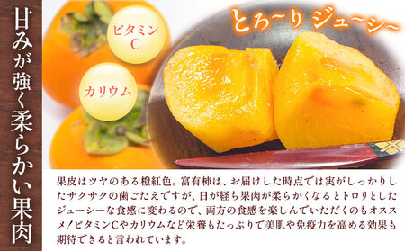 柿 富有柿 約3.5kg