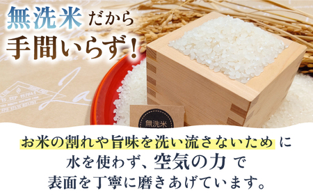 ＜14年連続特A評価＞【全6回定期便】さがびより 無洗米 5kg【五つ星お米マイスター厳選】 [HBL026]特A評価 特A 特A米 米 定期便 お米 佐賀 コメ