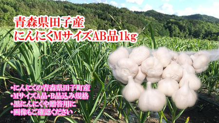 田子産にんにく約1kg（MサイズA～B品）