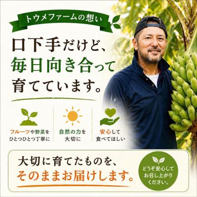 ふるさと納税 本部町 【2026年3月から順次発送】トウメファームのパッションフルーツ1kg(10〜15玉) |  | 03
