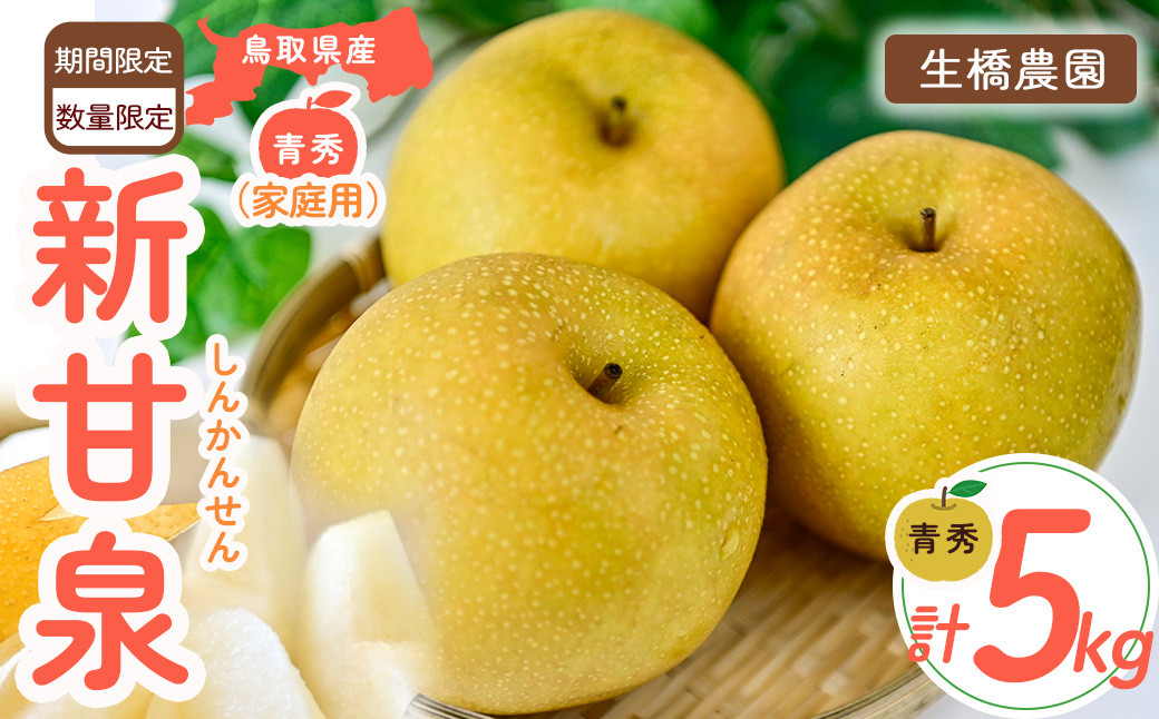 
                  新甘泉【鳥取県産】（家庭用）5kg（生橋農園） 青秀 鳥取 梨 5kg 果物 フルーツ 和梨 先行予約 数量限定 新甘泉 詰め合わせ 新品種
                