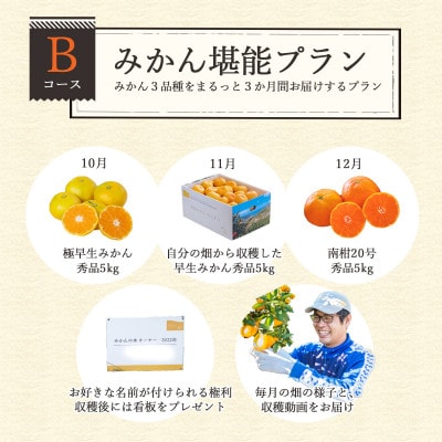 自分の畑が持てる!みかんオーナー制度:Bみかん堪能プラン【H25−112】ミヤモトオレンジガーデン【1411126】