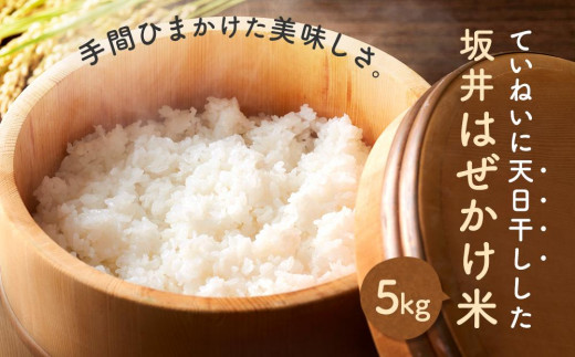 ＜直売所「まんだらの庄」＞坂井はぜかけ米（5ｋｇ）