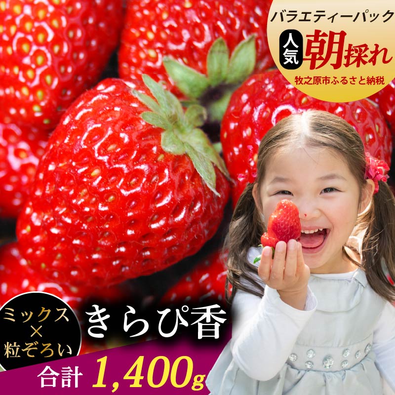 【ふるさと納税】 きらぴ香 1400g以上 いちご バラエティー パック 苺 イチゴ ゆりかーご 土耕栽培 フルーツ 果物 スイーツ 朝摘み 直送 完熟 ギフト 家庭用 贈答 贈り物 ブランド 甘い 農家直送 産地直送 国産 森木農園 静岡県 牧之原市 〜土耕栽培だから濃くて甘い!〜