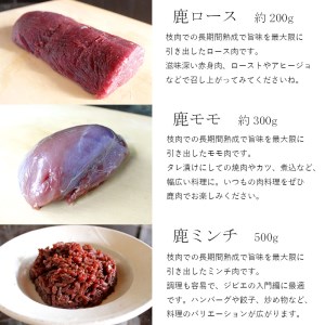 ジビエ と 寒山拾得の 加工品 セット 鹿肉約1kg 鹿肉辣油 2種類 鹿肉味噌 2種類 万願寺唐辛子アチャール 1個 詰め合わせ セット