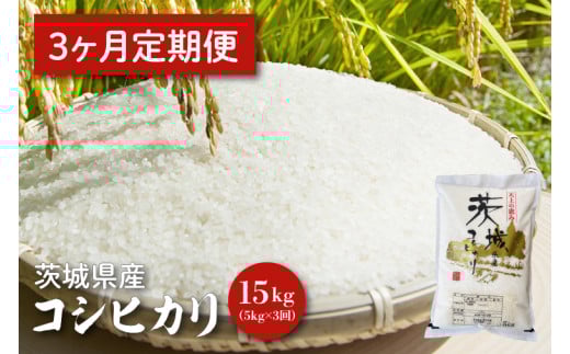【令和6年産】【３ヵ月定期便】茨城県産コシヒカリ 5kg×3 【定期便 お米 ごはん こしひかり 老舗 米屋 おにぎり ごはん 茨城県 水戸市 15キロ】(HQ-84)