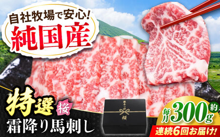 【全6回定期便】『純国産』熊本の味「桜」霜降り馬刺し「特選」 計約1.8kg（約300g×6回）  霜降り 馬肉 馬刺【有限会社 九州食肉産業】[AYCN015]