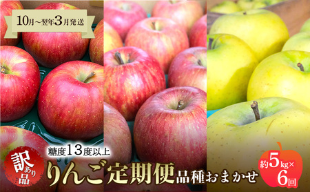 りんご定期便家庭用訳あり 青森県産 りんご【約5kg×6回】【定期便】