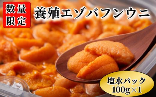 
【数量限定】浜中産　養殖エゾバフンウニ(塩水パック)100g_H0009-003
