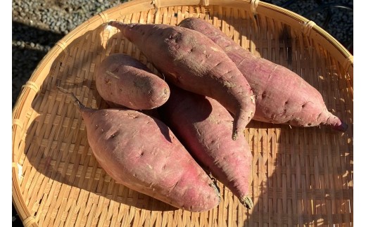 【農家の魂を込めて育てた】國吉農園の自然栽培 干し芋(100g×10パック） KN-20