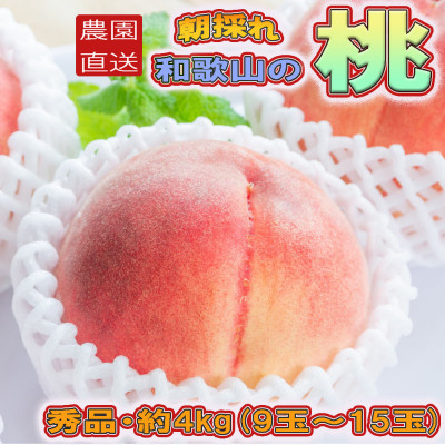 【農園直送】朝採れの和歌山の桃　約4kg・秀品【2026年度発送分】(上富田町)【配送不可地域：離島・北海道・沖縄県】