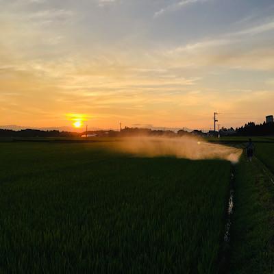ふるさと納税 新庄市 令和7年　厳選ササニシキ(精米)10kg |  | 02