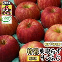 【ふるさと納税】2月発送【糖度保証】贈答用 葉取らず サンふじ 約5kg 【特選】【鶴翔りんごGAP部会 青森県産 津軽産 リンゴ 林檎】　 果物 りんご 希少 完熟 JGAP認証 安心 丸かじり サンふじ 甘い 高糖度 贈答用 ギフト 　お届け：2025年2月1日～2025年2月28日