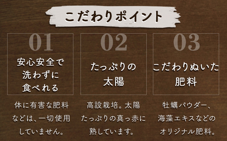 【朝摘みをお届け！】【2024年12月頃より順次発送】 フルーツガーデンやまがたのいちご「うずしおベリー」大粒30個  【数量限定】 いちご フルーツ 果物 苺 イチゴ 旬の果物 季節の果物 鳴門の果