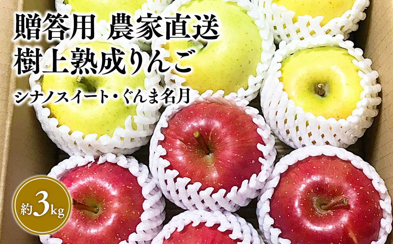 
                  【10～11月発送】贈答用 農家直送 樹上熟成りんご シナノスイート・ぐんま名月 約3kg【平川市産・青森りんご】
                