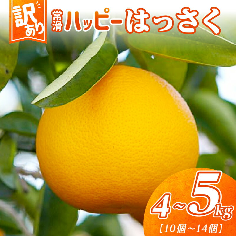 【ふるさと納税】【 訳あり 】＼数量限定／ 常滑ハッピーはっさく【1箱 4～5kg】10～14個 はっさく 果物 みかん 柑橘 フルーツ 季節のフルーツ お取り寄せ【2026年1月中旬～順次発送】送料無料