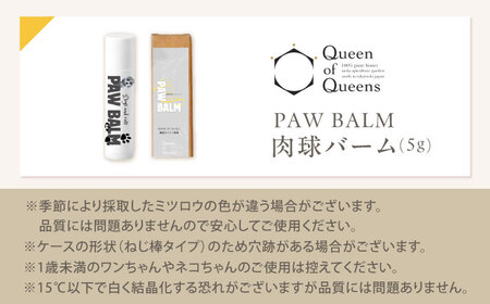 PAW BALM 肉球バーム 1個 ワンちゃん＆ネコちゃん専用 スティックタイプ 肉球ケア 国産ミツロウ使用 ペット ペットケア 犬 イヌ 猫 ねこ 大阪府高槻市/上田商店[AOAT006]