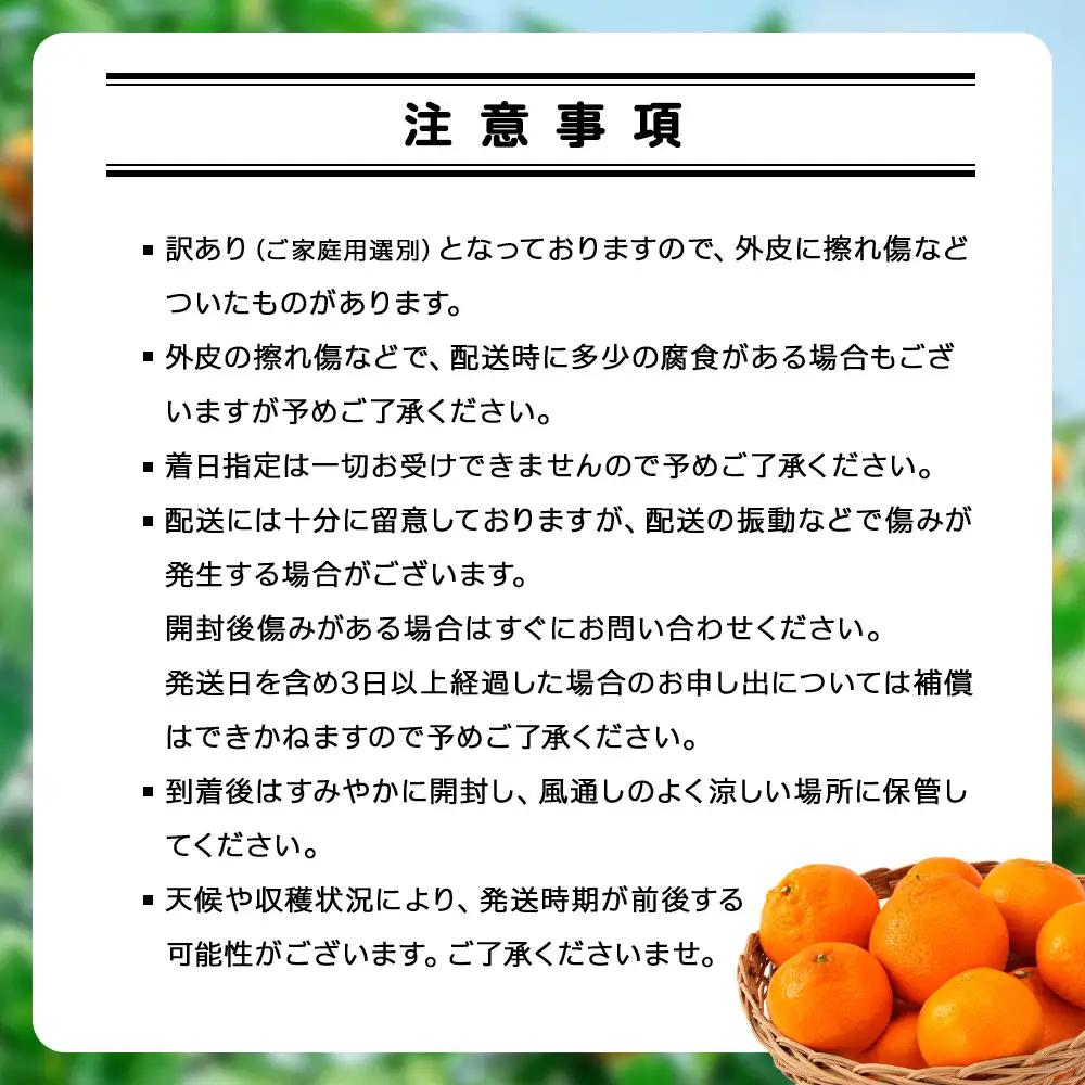 手が止まらない 訳あり 有田みかん 約3kg 大きさ無選別（2S〜3L） 糖度11度以上 鳴川農園 　［2026年11月以降発送予定］