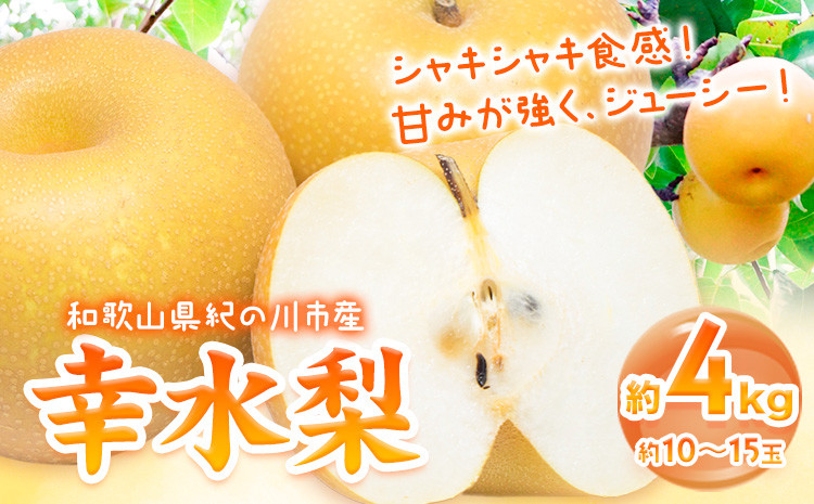 
            【先行予約】和歌山紀の川市産 の幸水梨 約4kg （約10玉～15玉）紀の川市厳選館 《2025年7月下旬-8月中旬頃出荷》 和歌山県 紀の川市 果物 フルーツ なし ナシ
          