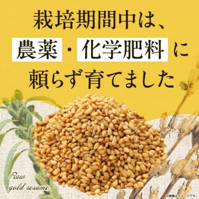 ふるさと納税 小林市 【栽培期間中 農薬・化学肥料不使用】生金ごま 100g |  | 01