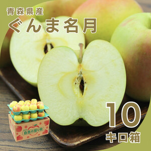 【10月下旬より発送開始】産地直送 青森県産ぐんま名月 10キロ箱 28～46玉 青森県産りんご【配送不可地域：離島】【1290167】