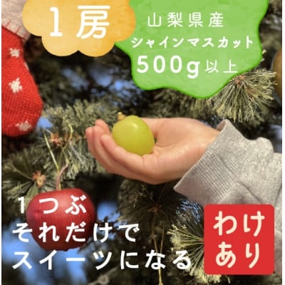 
            ＜年内発送＞＜訳あり＞冬に食べられる シャインマスカット 1房(500g以上)山梨産【1694106】
          
