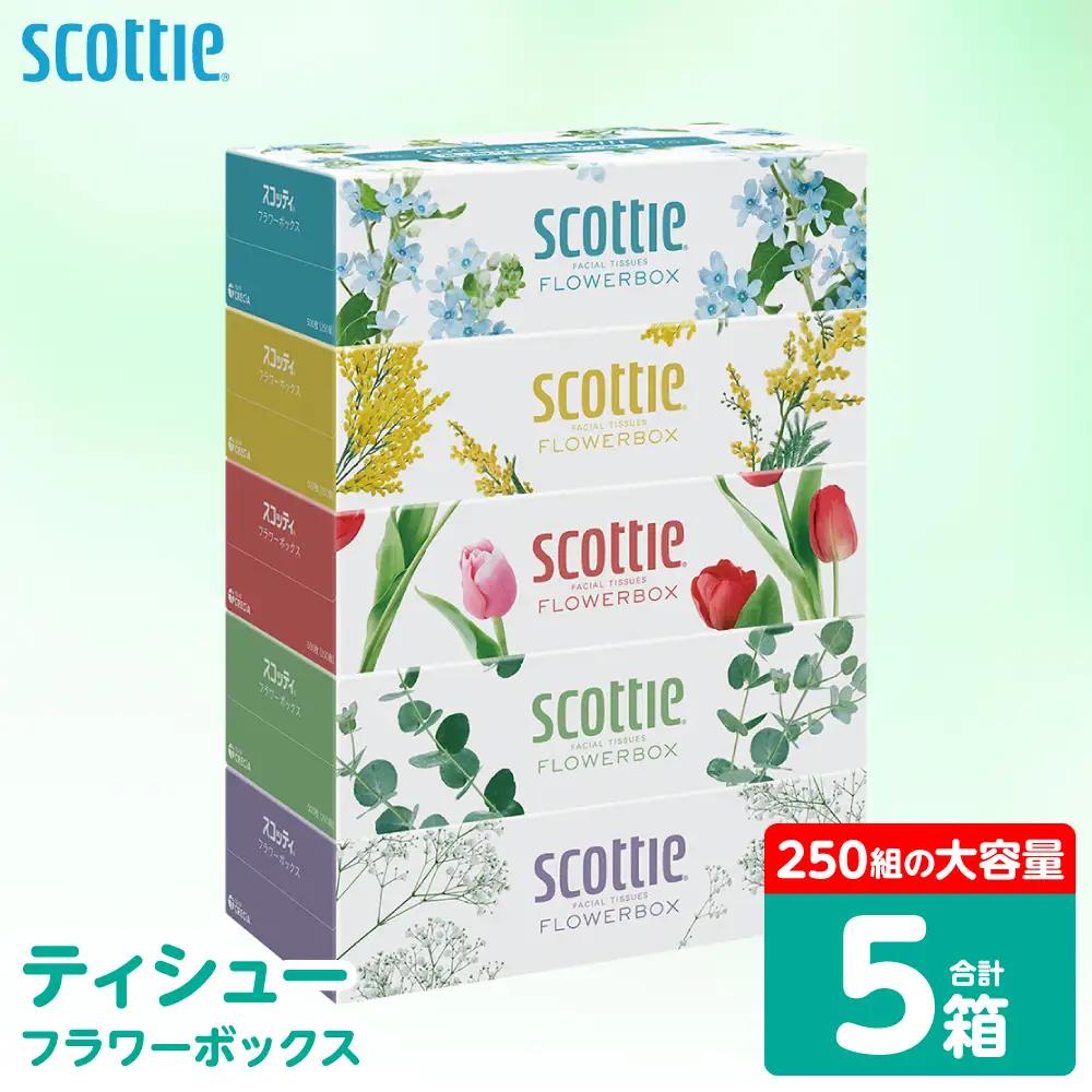 スコッティ ティッシュ 250組 5箱 ティシュー