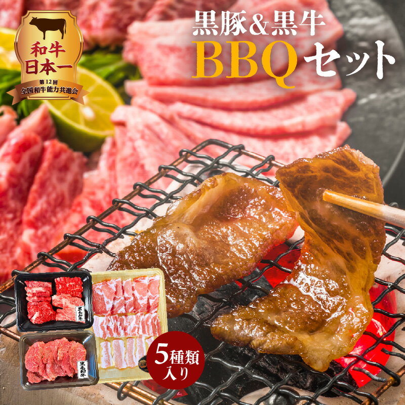 【ふるさと納税】【12/22入金まで年内発送】和牛日本一！ 鹿児島県産黒豚&黒牛5種BBQセット 黒豚 BBQ セット 厳選 牛肉 お肉 肉 黒毛和牛 和牛 国産牛 豚肉 かごしま黒豚 鹿児島県産黒毛和牛 経産牛 ヘルシー 旨み キャンプ 焼肉 豚とろ カルビ 赤身 鹿児島県 鹿児島市