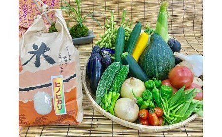 [野菜とお米5kgセット] 産地直送！新鮮とれたて旬の野菜＆ひのひかり5kg [2809]