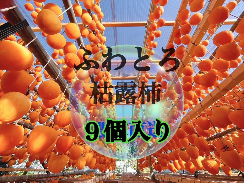 
            て！なんで～こりゃぁ新食感とろっふわ枯露柿（9個入り）生産者直送【2025年発送】（ISI）B-809
          