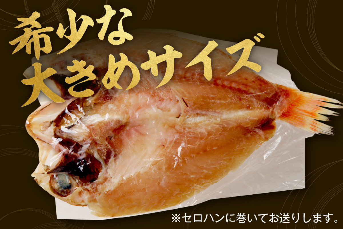 山陰浜田 香住屋のこだわり干物「大きめのどぐろ一夜干し」（3～4尾） 魚介類 のどぐろ 一夜干し 干物 ふるさと納税 のどくろ セット 【658】