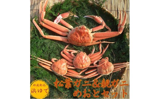 56MZ.鳥取県産松葉ガニ＆親ガニ◇めおと◇セット〔浜ゆで〕