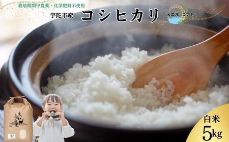 ＜先行予約＞令和7年宇陀市産 コシヒカリ白米 5kg 栽培期間中無農薬・無化学肥料米 11月上旬～出荷予定 / ふるさと納税 米 こめ お米 精米済 ブランド 美味しい 人気 おすすめ 送料無料 奈良県 宇陀市 米工房はやし