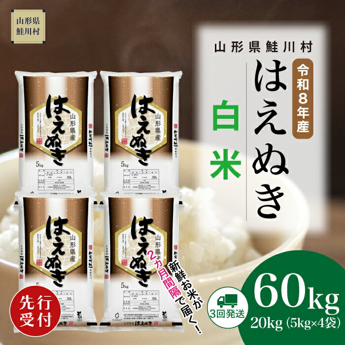【ふるさと納税】＜令和8年産米先行受付＞ 鮭川村 はえぬき 【白米】60kg （20kg×2ヶ月間隔で3回お届け）＜配送時期選べます＞