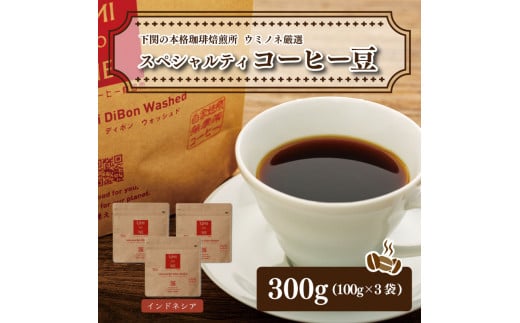 
スペシャルティ コーヒー豆セット インドネシア 300g(100g×3袋) 下関市 山口
