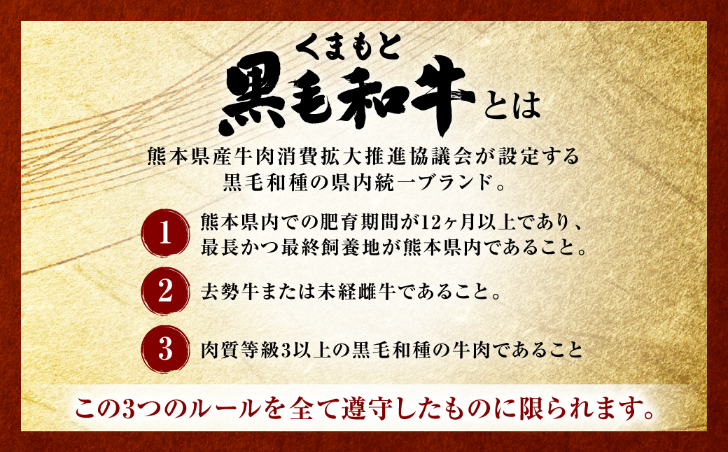 【訳あり】くまもと黒毛和牛 切り落とし 合計1kg (250g×4パック) 牛肉 肉 和牛 黒毛和牛 ブランド牛 牛丼 肉じゃが  国産 訳あり 小分け 熊本県 八代市