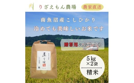 《新米予約受付》白米10kg「５kg×２袋」「贈答用にもおすすめです！」　令和７年産　南魚沼産こしひかり　魚野川流域　匠 雲蝶(たくみ　うんちょう）＼生産農家直送／【2025年10月上旬より順次発送予定】