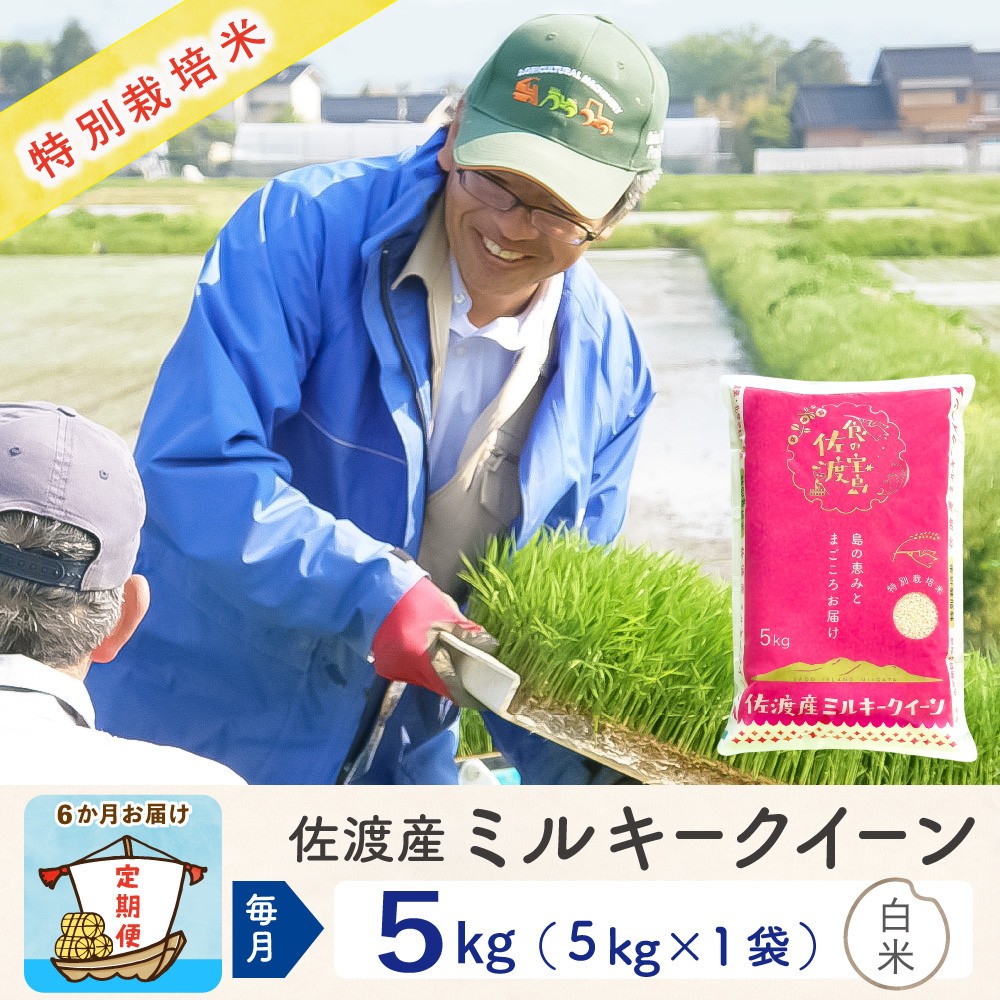 【令和8年産新米 6ヶ月】佐渡島産ミルキークイーン 精米 5kg 特別栽培米195962-4313