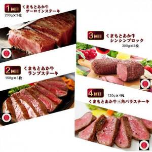 【毎月定期便】【GI認証】くまもとあか牛 食べ比べ(益城町)全12回【配送不可地域：離島】【4067036】