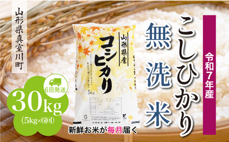 ＜令和7年産米＞ 令和8年1月下旬より発送 こしひかり【無洗米】30kg定期便 (5kg×6回) 山形県真室川町　◆RR7K3005M-M2601C