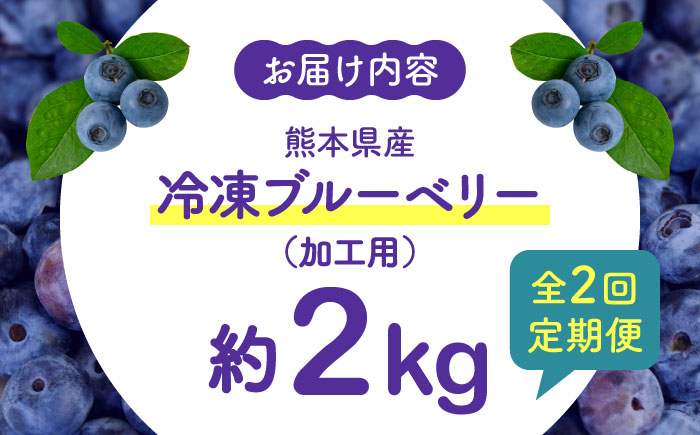 【先行予約】【8月より順次発送】【全2回定期便】【加工用】冷凍ブルーベリー 2kg【「のん気・元気」百姓家】 [YAL028]