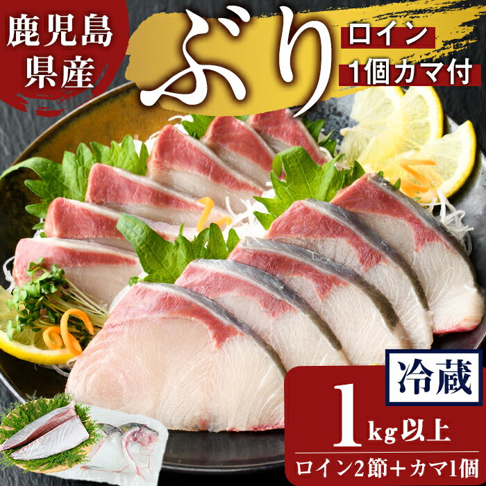【ふるさと納税】鹿児島県産 ぶり ロイン 2節(計1kg以上) 1個カマ付き ぶり ブリ 鰤 魚 海鮮 魚介 刺身 さしみ 柵 煮つけ 煮付け ぶりしゃぶ ブリしゃぶ しゃぶしゃぶ ロイン 国産 鹿児島県産 冷蔵 【有限会社田村水産】B2-8001
